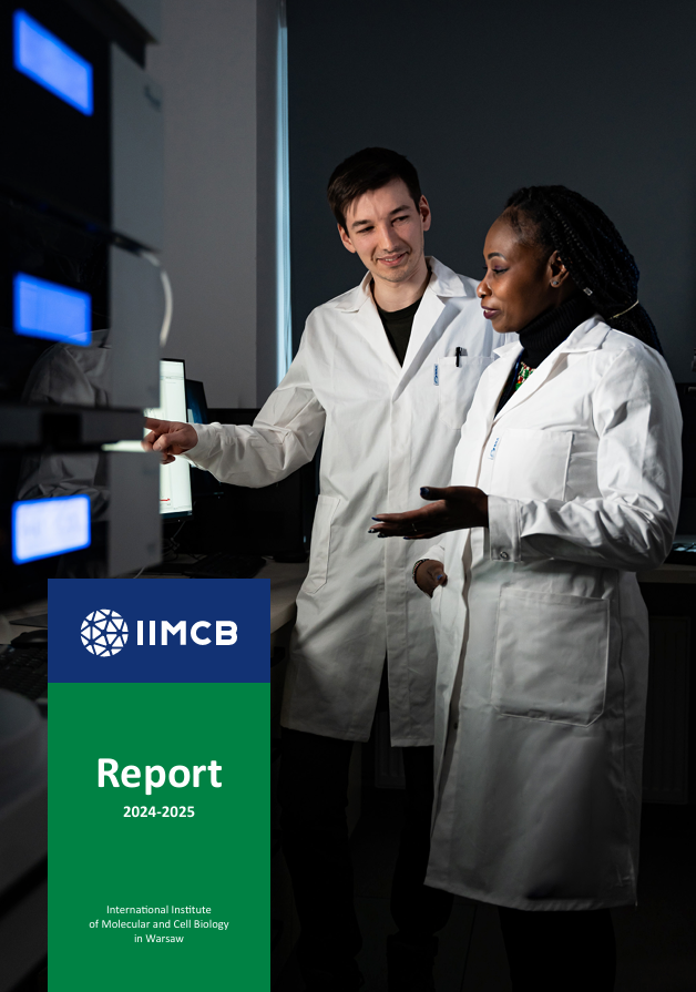 Report 2024 2026 copy